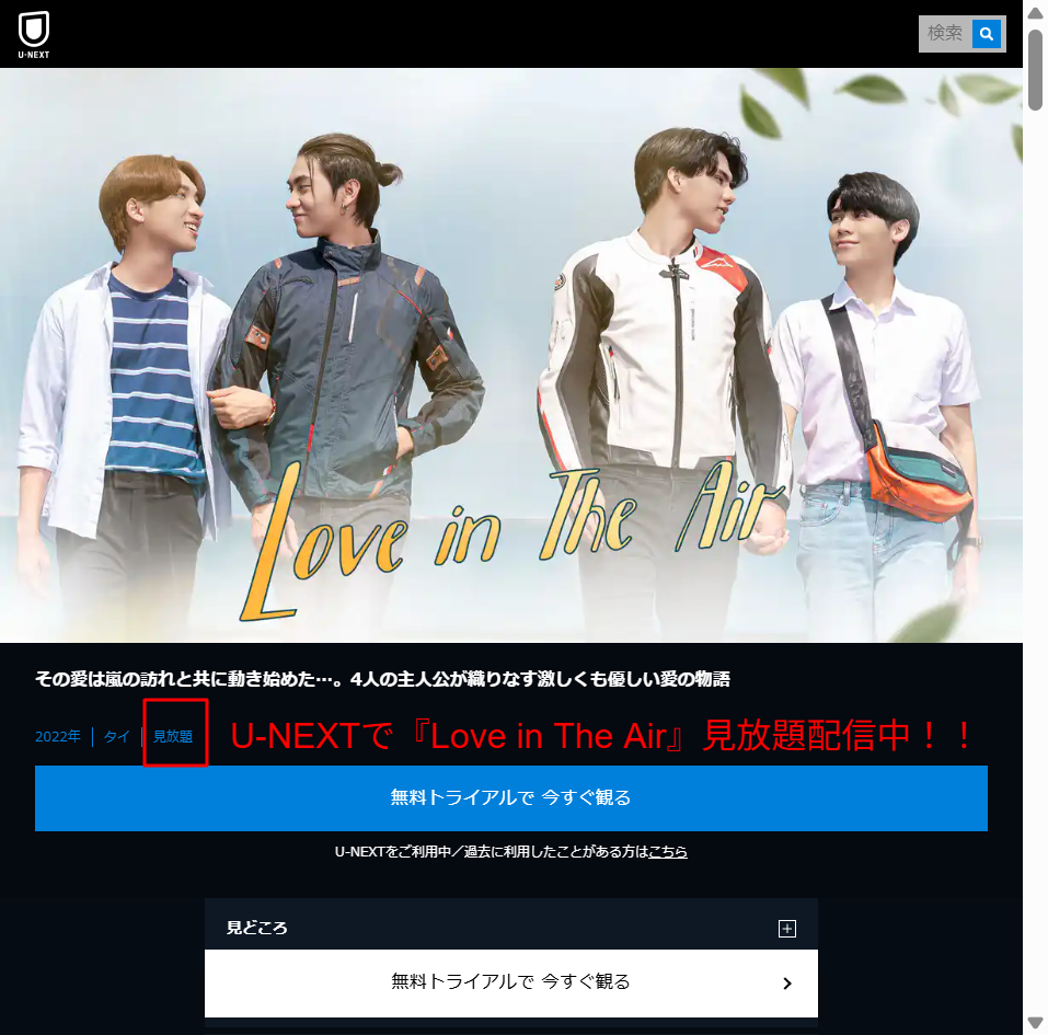 U-NEXTの『Love in The Air（UNCUT版）』作品詳細・見放題配信画面
