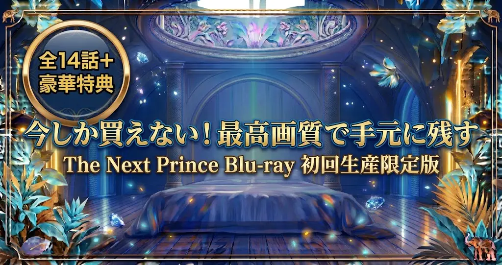 The Next PrinceのBD初回限定版は買うべき？配信との違いを徹底比較